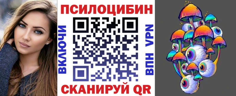 Псилоцибиновые грибы Cubensis  как найти закладки  Сураж 